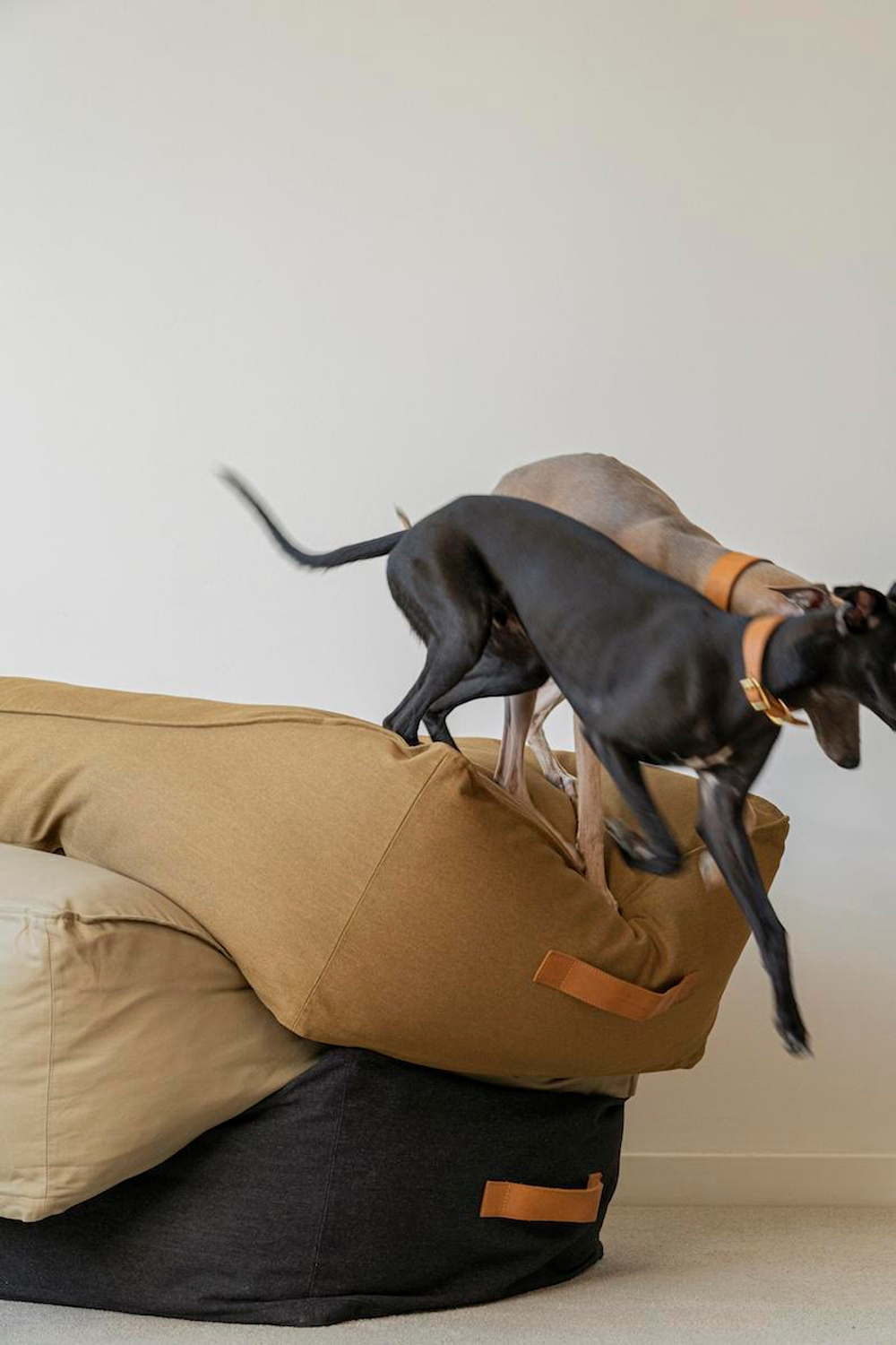 Лежанка "Пони-трамплини" Черная