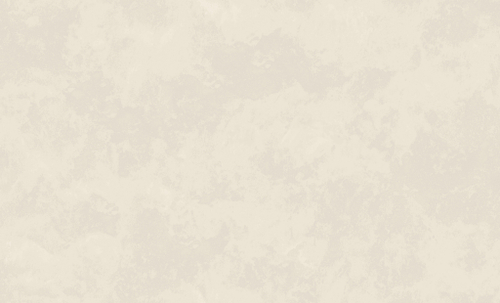 АСПЕКТ Deluxe 1,06 м 70601-24 Штукатурка New