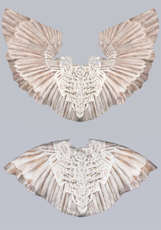 Гусь серый пелерина 2