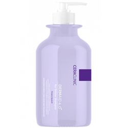 Ceraclinic Dermaid 4.0 No Yellow Shampoo Protein Quench шампунь против желтизны волос