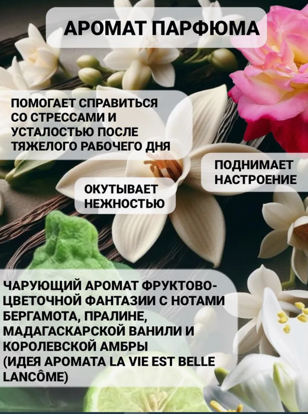 SHEEN SHEEP Шампунь и гель для душа 5 литров