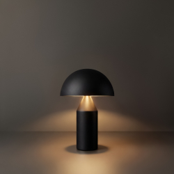 Настольный светильник Freya FR5218TL-02B1