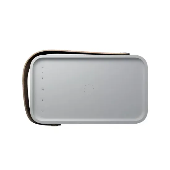 Портативная колонка Bang & Olufsen Beolit 20 Grey Mist