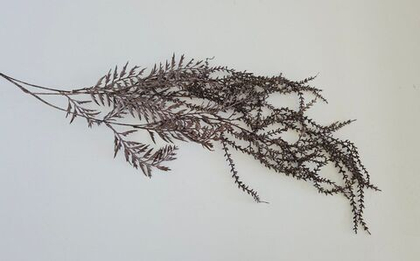 Ампельная ветка цветная / Арт 4250