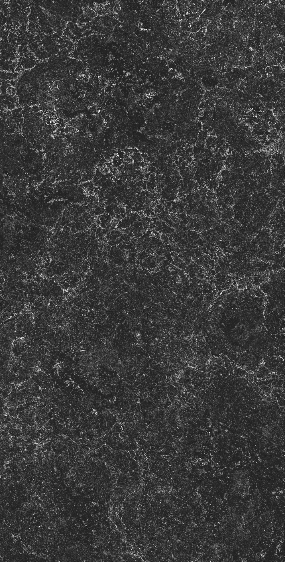 Керамогранит, Creanza, PALATINO NERO, 1200x600 мм, матовая с глянцевым эффектом