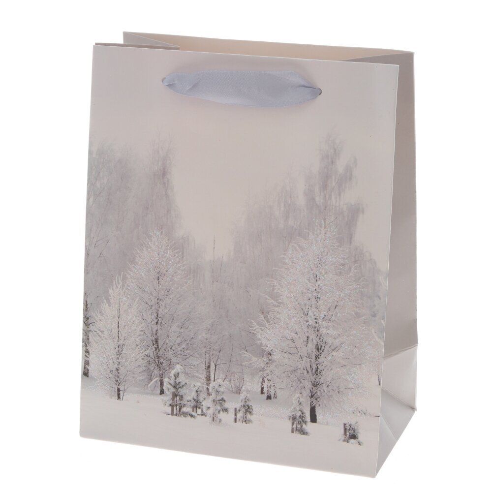 GAEM Пакет подарочный (бумага, плотность 210г/м2, блок микс 12шт), L18 W10 H23 см, 4в.