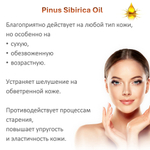 Масло кедрового ореха / Pinus Sibirica Oil