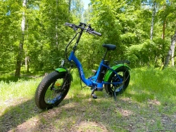 Электрофэтбайк Elbike Taiga 1 Elite (Черный)