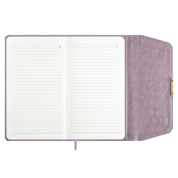 7dae56a8_b7b8_11ef_ba9b_d05099d5d12d_c51a69c2_a398_11f0_baba_d05099d5d12d