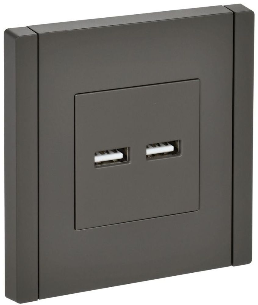 Розетка USB A+A 3.1А FORTE&PIANO FP349 сер. IEK FP-U21-D31-K03 Розетка USB A+A 3.1А FORTE&PIANO FP349 сер. IEK FP-U21-D31-K03