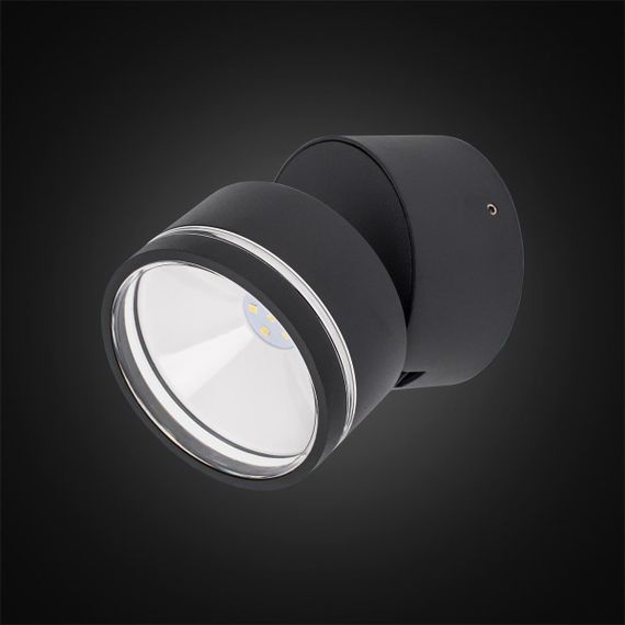 Уличный настенный светодиодный светильник Citilux CLU0008R