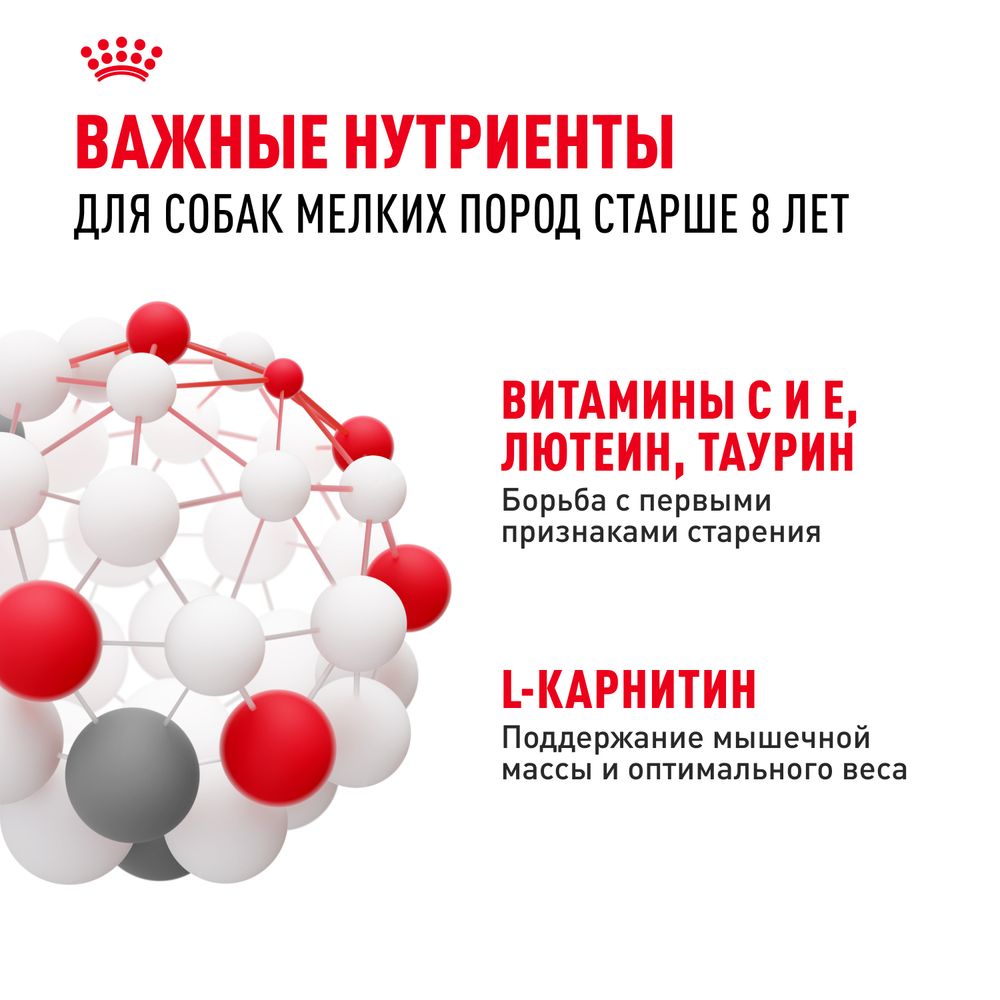 Сухой корм Royal Canin Mini Adult 8+ для взрослых собак небольших размеров (до 10 кг) старше 8 лет Сухой корм Royal Canin Mini Adult 8+ для взрослых собак небольших размеров (до 10 кг) старше 8 лет