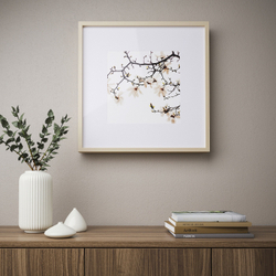 IKEA SANNAHED  (ИКЕА САННАХЕД)  -  Рама, имитация березы, 50x50 см