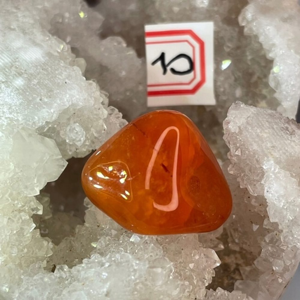 31541 Сердолик галтовка 22-26мм--30