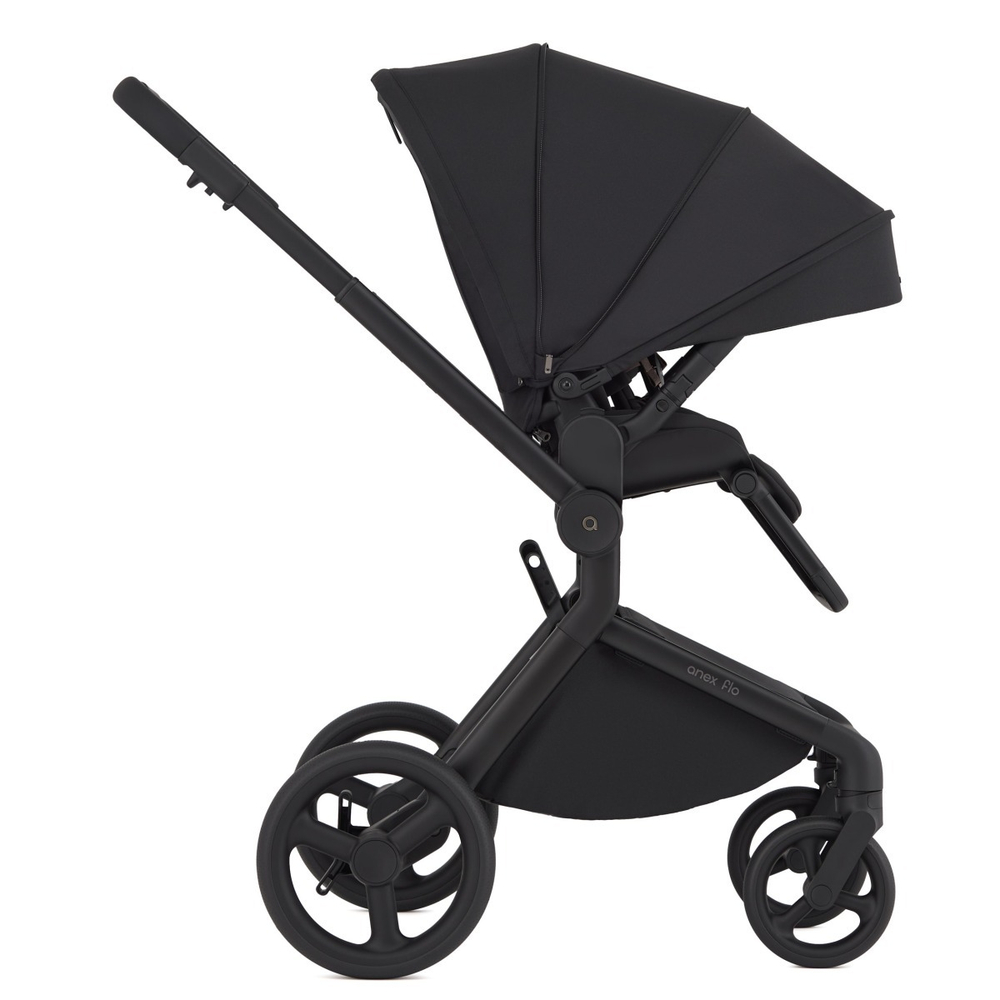 Anex Детская коляска Flo 2 в 1 Lungo