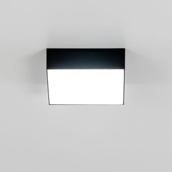 Накладной светодиодный светильник Citilux Тао CL712X122N