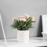 Искусственный цветок в горшке «Астра экстра мини», 8×20 см, МИКС