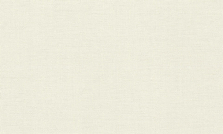 Rasch 1.06m*10m 970616 Jolly