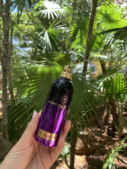 Montale Aoud Sense