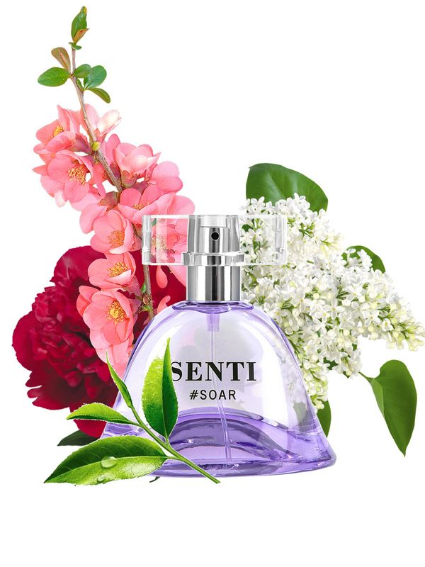 Dilis Parfum Senti #Soar