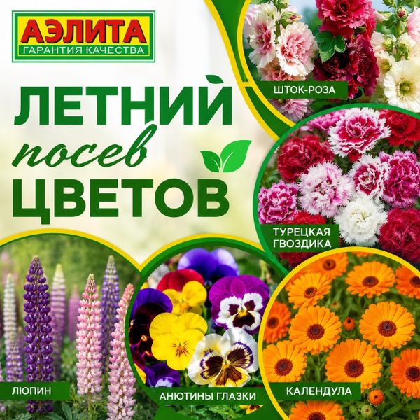 Распродажа -20% на все позиции семян овощей и цветов!  Летний посев цветов!