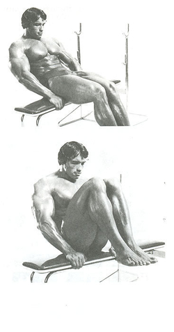 Новая энциклопедия бодибилдинга