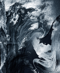 Коллекция EUPHORIA