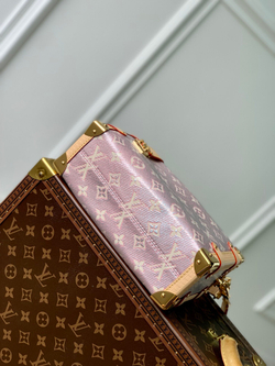Louis Vuitton Side Trunk MM