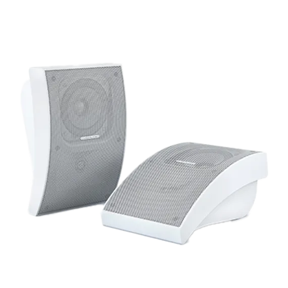 CVGAUDIO WPA10TW настенная акустическая система, мощность 5/10W-100V