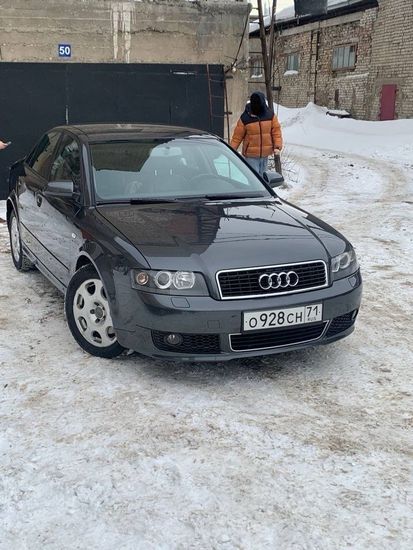 Листва (молдинги) на двери для Audi A4 B6