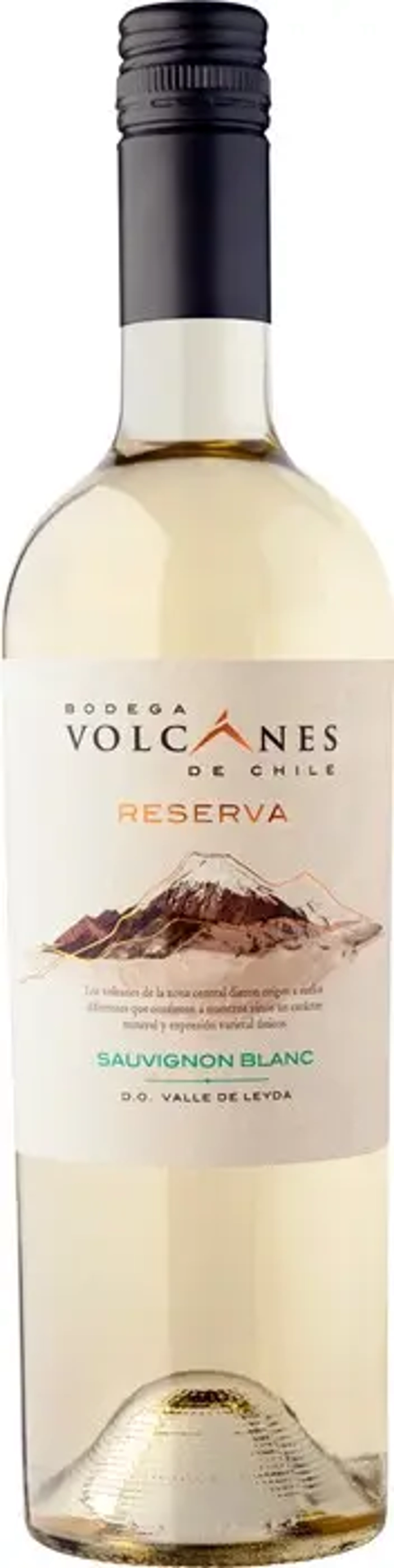 Bodega Volcanes Reserva Sauvignon Blanc 0.75 л.