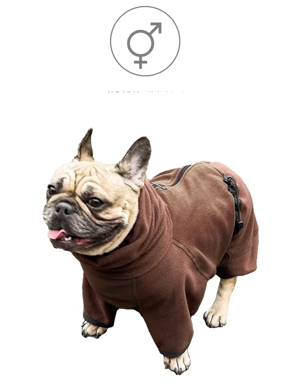 Флисовый комбинезон для французского бульдога
