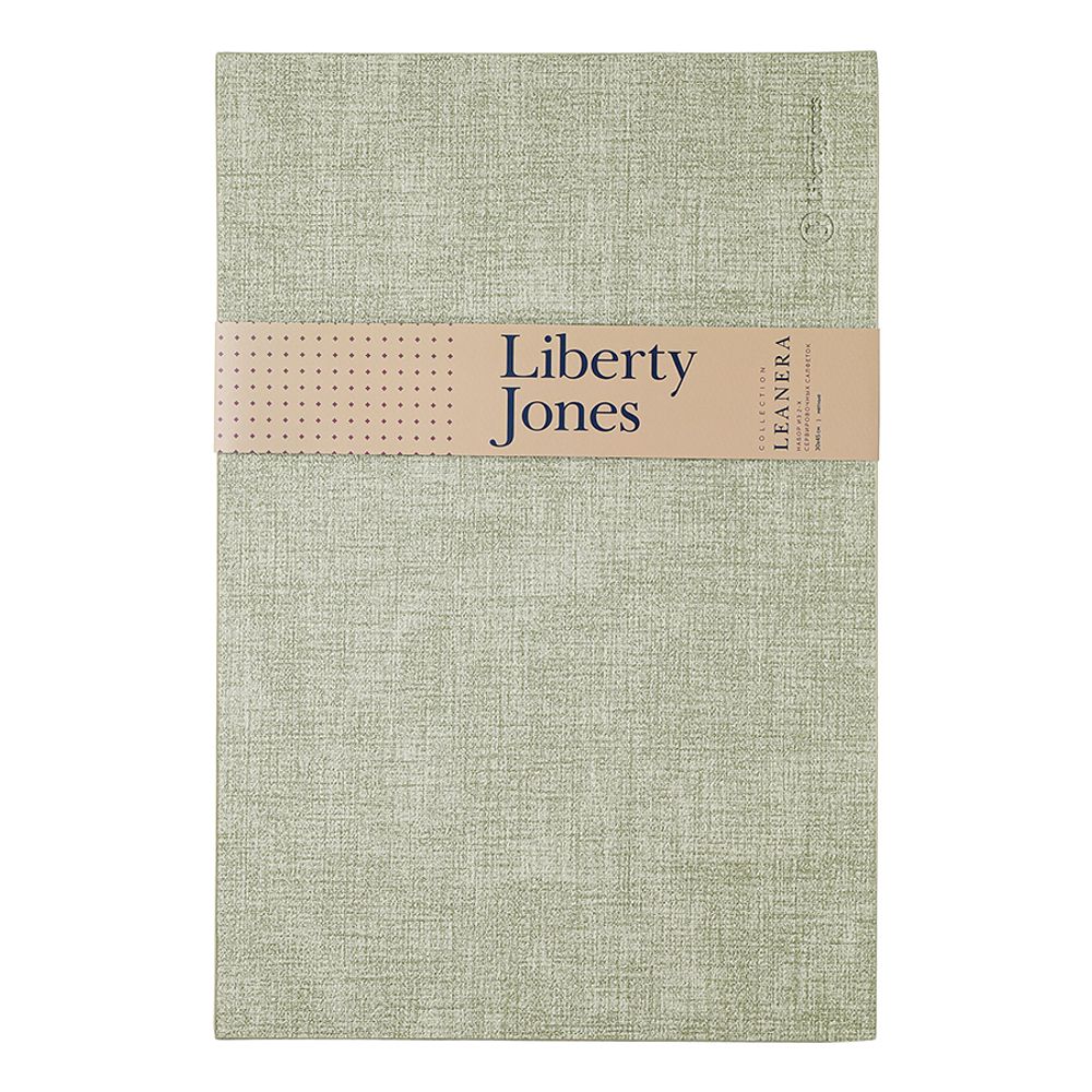 Набор из 2-х сервировочных салфеток Leanera, 30х45 см, мятные