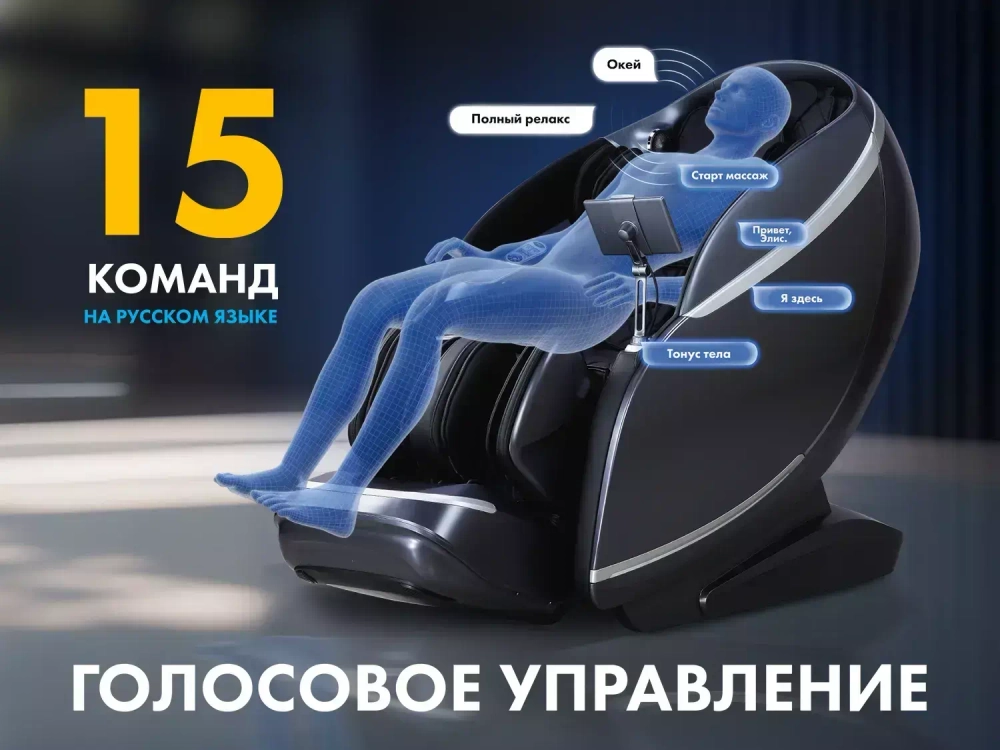 Массажное кресло FUJIMO 氣 GURU2 F800 Коричневый
