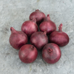 Лук-реп. Ред Барон  0,5г Мировые Семена VITA GREEN