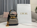Christian Dior Small C'est Dior Bag