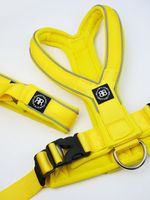 Шлейка Slip-On BullyBillows