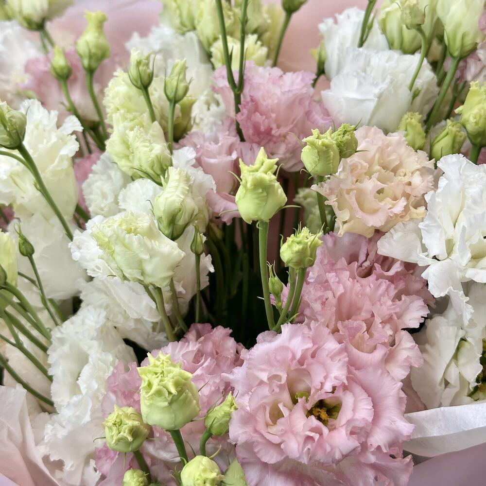 «Контражур» моно букет из эустомы 13шт