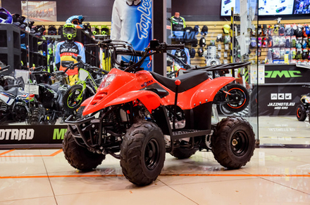 MOTAX ATV MIKRO 110 cc Красный