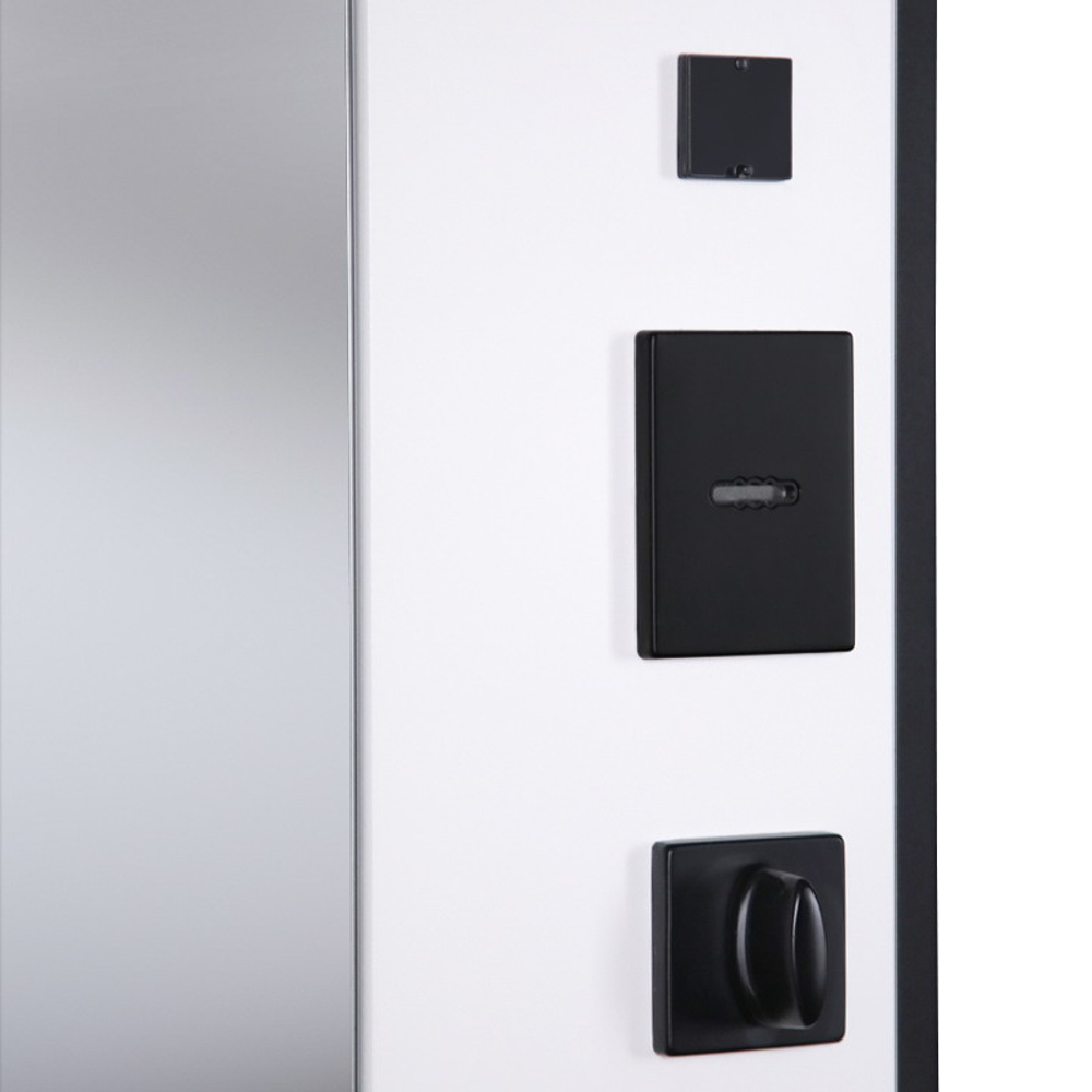 Стальная дверь "Берилл" с зеркалом (адаптивная замковая часть). Заказная модель.