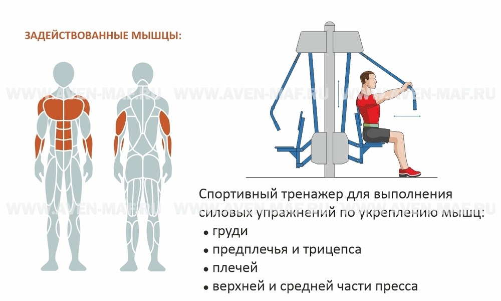 Скамья Скотта