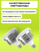 Комплект постоянного света Raylab D-Light 1 светодиодный