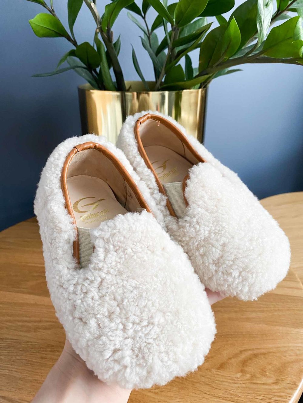 Слипоны Gallucci