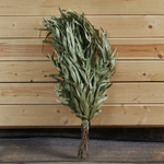 Веник эвкалиптовый_3.jpg