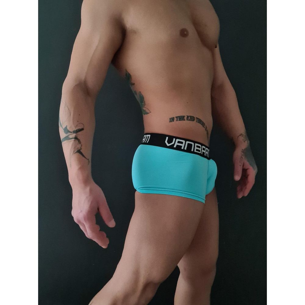 Мужские трусы хипсы голубые Van Baam 48144