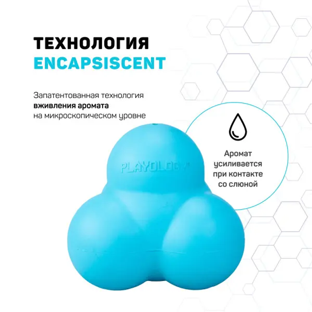 Жевательный тройной мяч Playology SQUEAKY BOUNCE BALL для собак средних и крупных пород с пищалкой и с ароматом говядины, цвет голубой Жевательный тройной мяч Playology SQUEAKY BOUNCE BALL для собак средних и крупных пород с пищалкой и с ароматом говядины, цвет голубой