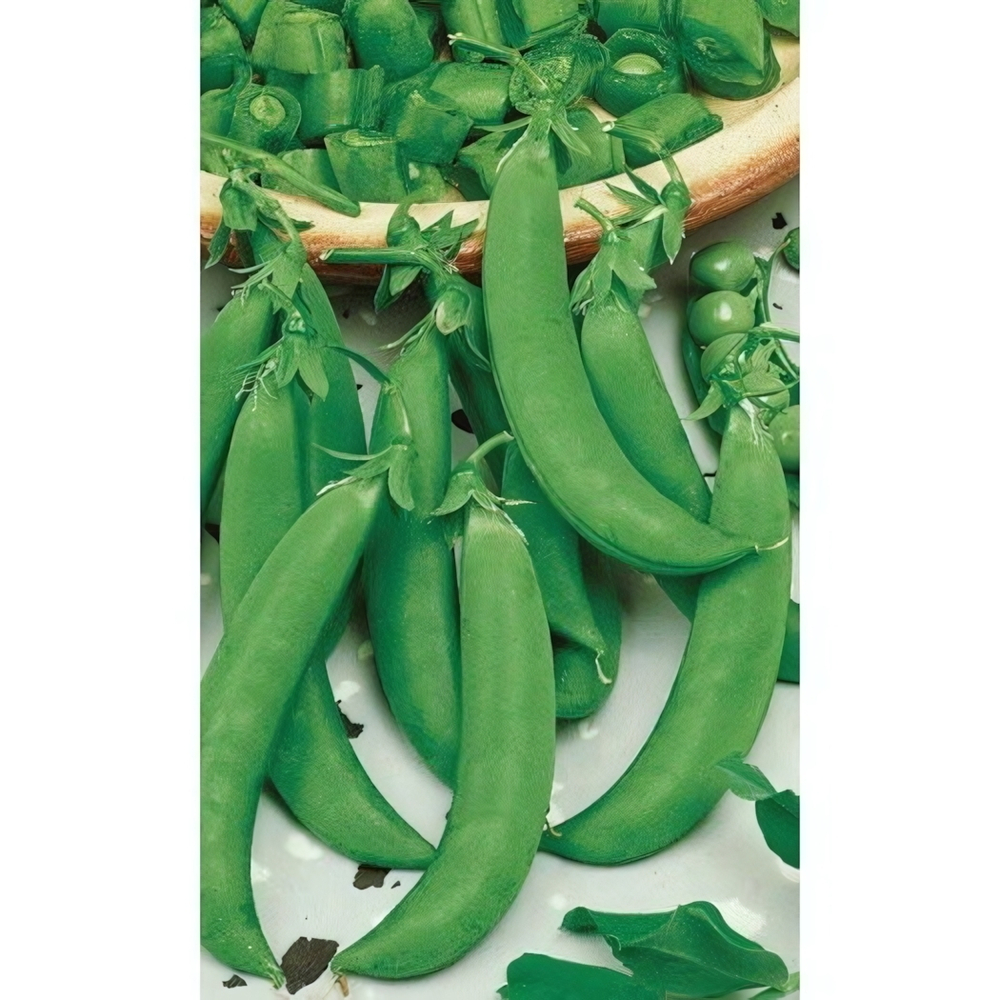 Семена Горох Амброзия (Марс) 8гр Б/П