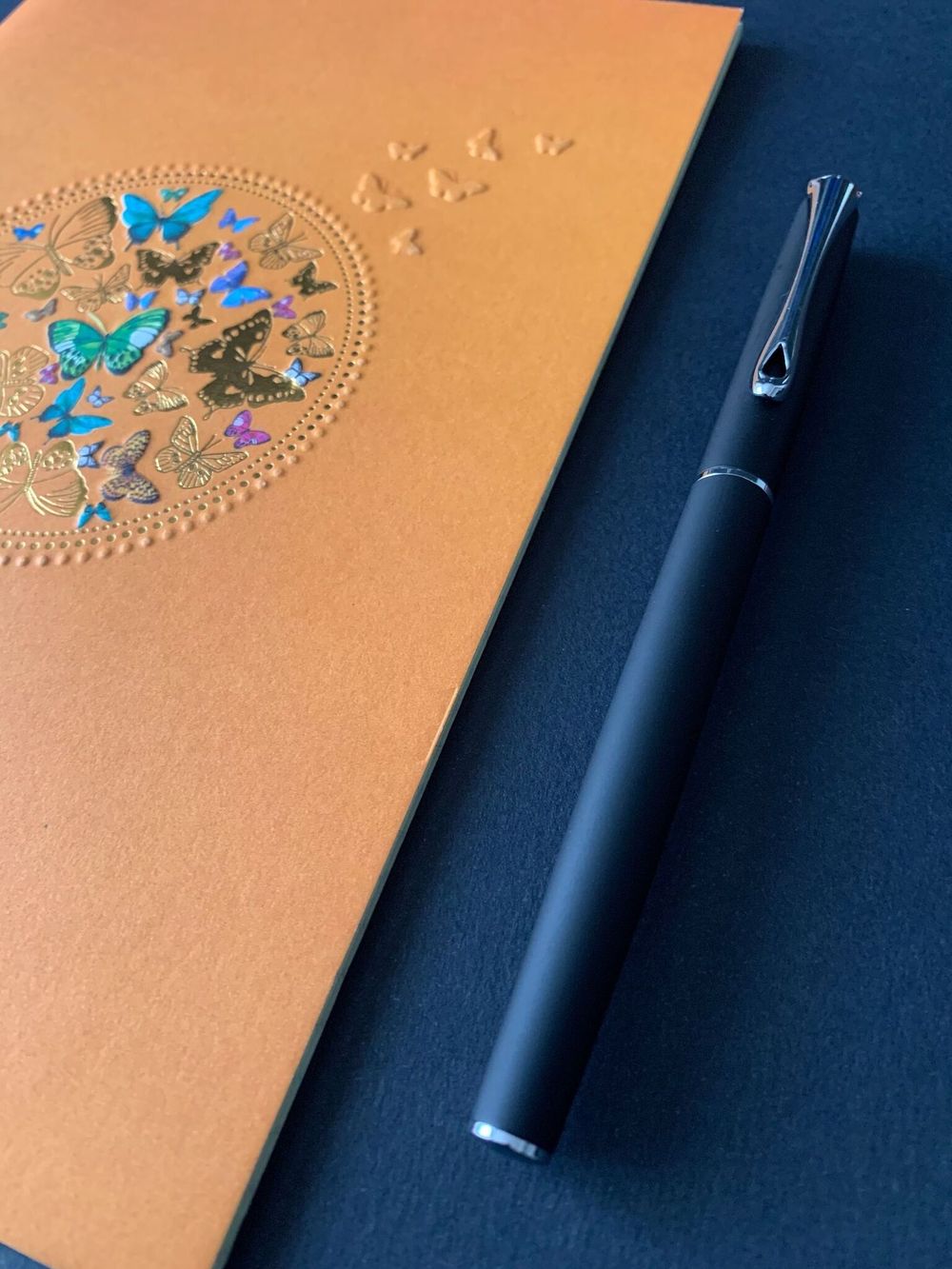 Перьевая ручка Diplomat Traveller lapis black M (D20000815) 6