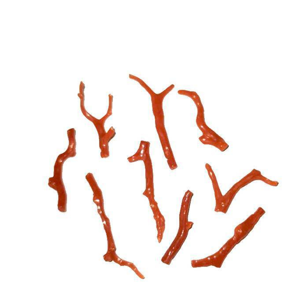 Веточка красный натуральный коралл асс.