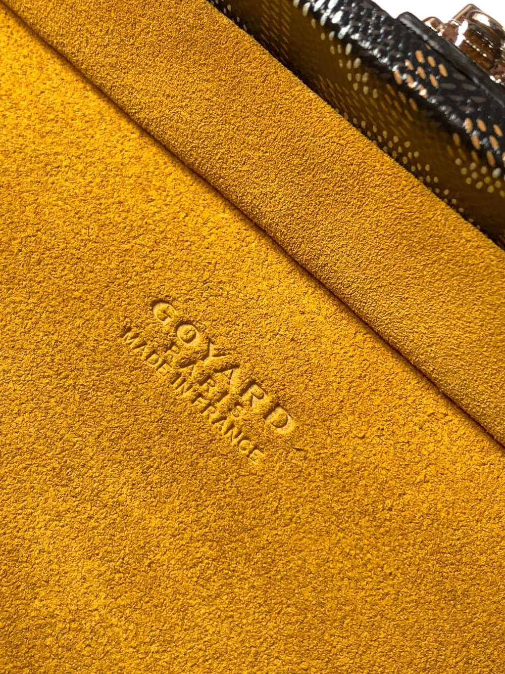 Goyard Grand Hotel Trunk Bag